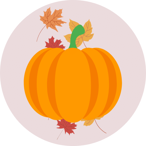 Pumpkin vector